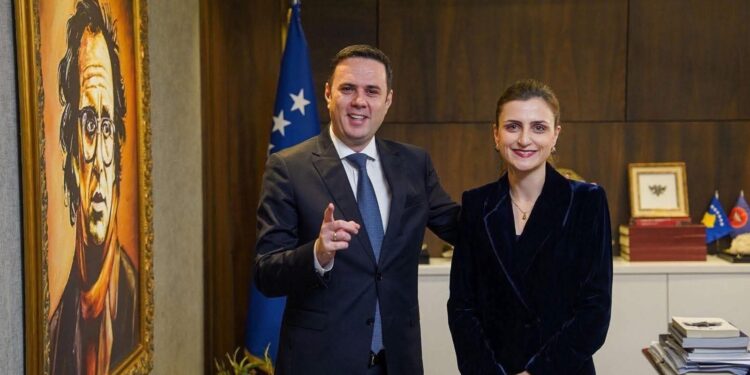 Ekspertja e energjisë, Janina Ymeri, pjesë e listës së LDK-së për zgjedhjet e 28 dhjetorit