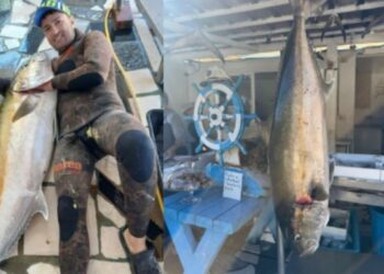 Gara e heshtur mes peshkatarëve në Vlorë, kapet një tjetër peshk gjigant, peshon 35 kg