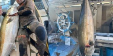 Gara e heshtur mes peshkatarëve në Vlorë, kapet një tjetër peshk gjigant, peshon 35 kg