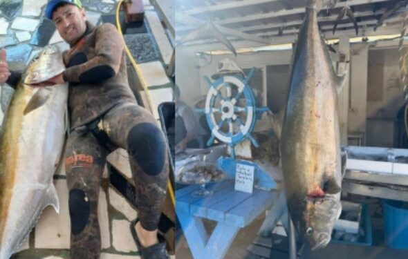 Gara e heshtur mes peshkatarëve në Vlorë, kapet një tjetër peshk gjigant, peshon 35 kg