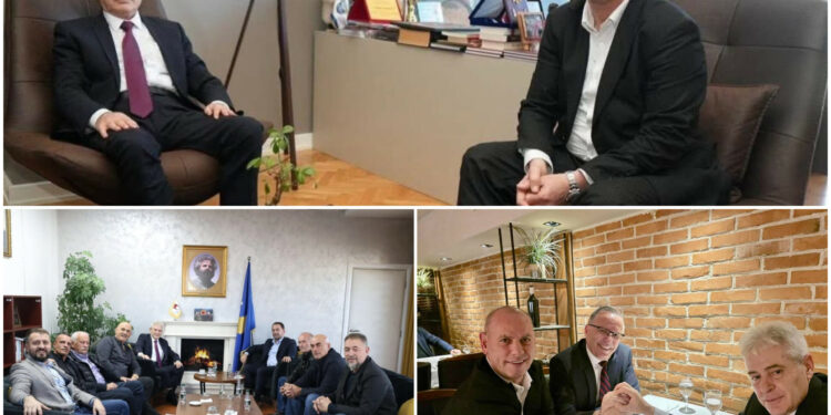 Ali Ahmeti pas takimeve në Kosovë: Vetëm të bashkuar arrihen fitoret më të mëdha