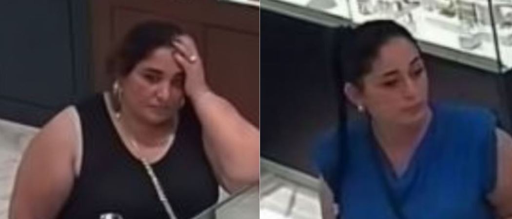 Lajmëroni Policinë nëse shihni këto dy gra, po kërkohen për vjedhje