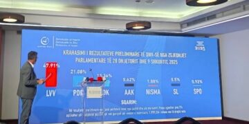 DnV del me rezultate: VV-ja i fiton zgjedhjet me 47.92%