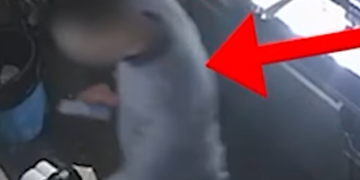 Arrestohet kamarieri 35 vjeçar, u kap në kamera duke vjedhur paratë në lokalin ku punonte(Pamje)