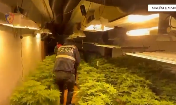 Zbulohet “shtëpia e barit”, arrestohet 35-vjeçari