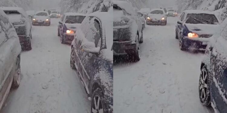 30 deri në 50 centimetra borë në Brezovicë, krijohen kolona veturash/VIDEO