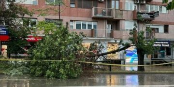 Paralajmërimet për erëra të forta në Prishtinë, drejtori i Emergjencave: Ekipet janë në terren, jemi duke bërë kontrolle