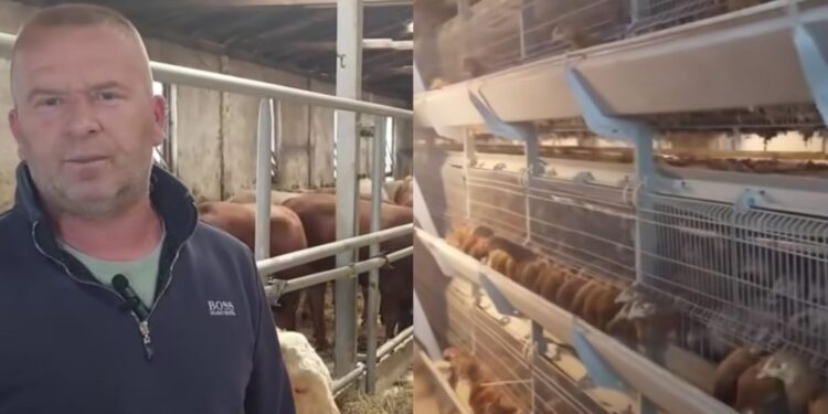 Familjari i komandantit legjendar Adem Jashari, fermer i suksesshëm në Vushtrri