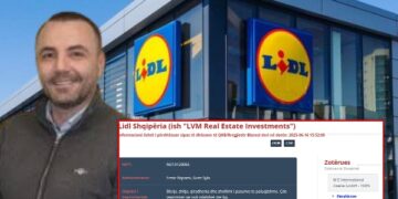 Kush fshihet pas “Lidl Albania&Kosova”? Dy pronarët me “aventurë” nga tregu imobiliar te porti më i rëndësishëm në Shqipëri