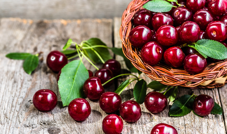 Ankand rekord i qershive në Japoni, një kuti shitet për rreth 10,000 euro