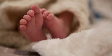 Bie numri i lindjeve në Kosovë, cili është ndikimi më i madh?