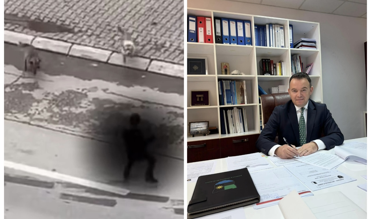 Pas raportimit të Veriu.info për vërsuljen e qenve ndaj një fëmiu, reagon kryetari i Mitrovicës: Sot u bë inicimi i procedurës për trajtimin e qenve agresivë