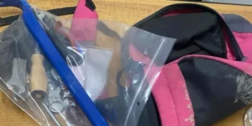 Kapet në flagrancë grupi prej pesë personash, tentuan të vjedhin artarinë në Kaçanik