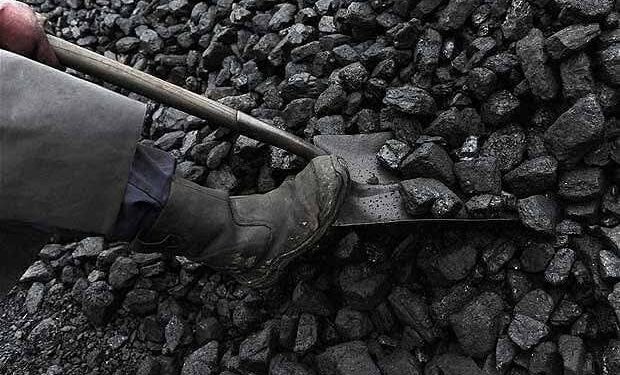 Aksion në Bivolak, Zhilivodë dhe Stroc të Vushtrrisë, arrestohen 6 persona për nxjerrje ilegale të thëngjillit