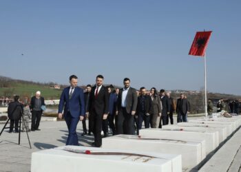 Kryetari Peci bën homazhe në Prekaz dhe në varrezat e dëshmorëve në Shipol, fotot tregojnë distancë me drejtorët e VV-së, afërsi më e madhe me drejtorin e LDK-së