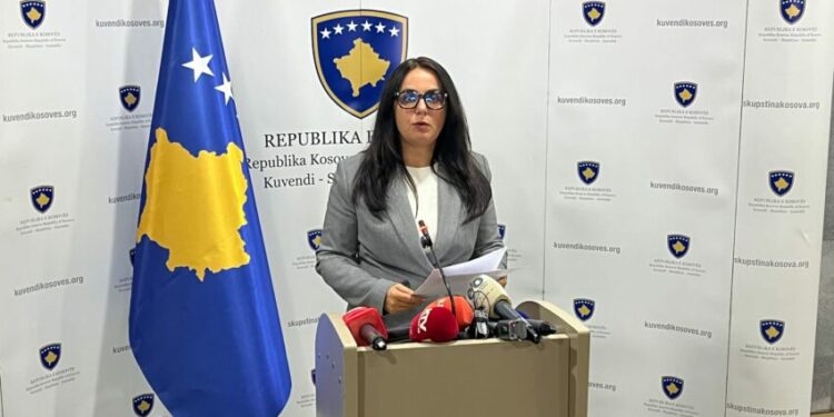 Lushaku: Nëse VV-së i mungon vullneti për një marrëveshje, LDK e gatshme për zgjedhje të reja