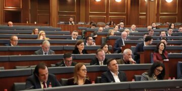 Ymeri e LDK-së thotë se ZRRE-ja pritet të vendosë në këtë muaj për vazhdimin e licencës së EFT-së