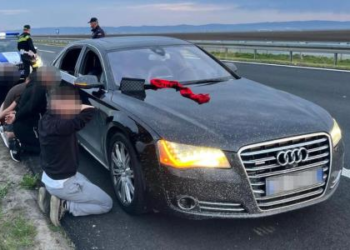 Tifozët shqiptarë që u arrestuan në Serbi dalin para gjykatës