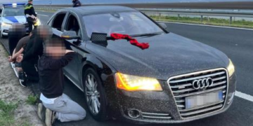 Tifozët shqiptarë që u arrestuan në Serbi dalin para gjykatës