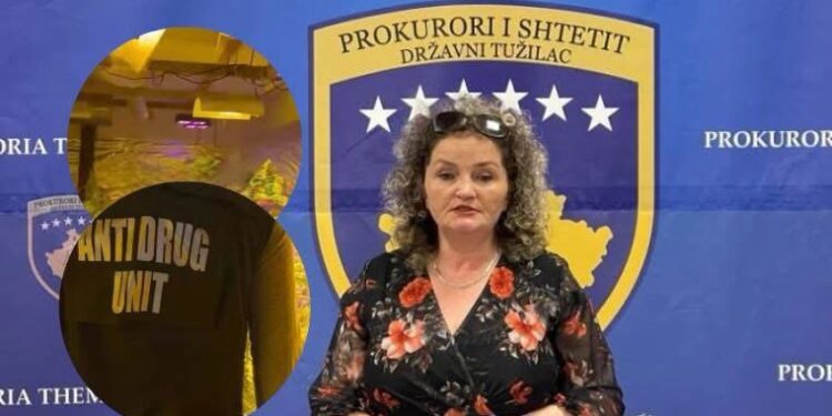 Prokurorja për laboratorin e drogës në Pejë: Përdoroheshin pajisje të avancuara për kultivim