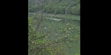 U filmuan duke peshkuar ilegalisht, Policia e Prizrenit identifikon ‘ tre peshkatarët’ – pamje