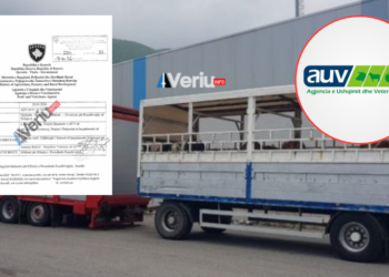 Vazhdon skandali: Dallavere me import të kafshëve nga Nreca, Meli, Reisa, Luka … – AUV i procedon për gjykatë 8 kompani (Dokumente)