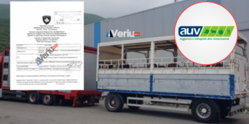Vazhdon skandali: Dallavere me import të kafshëve nga Nreca, Meli, Reisa, Luka … – AUV i procedon për gjykatë 8 kompani (Dokumente)