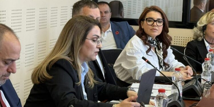 Selimi: Jemi njëzëri për çdo tentativë që niset nga Kosova, procesin në Hagë mos e bëni pjesë të fushatave