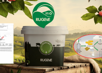 Skandal: Zbulohet mbi 1.5 ton djath i kontaminuar me toksinë kancerogjene në Qumështoren Rugove (Dokumente)