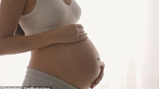 Kimikatet e përditshme mund të dëmtojnë zhvillimin e foshnjës