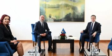 Kurti emëron një zëvendësministër