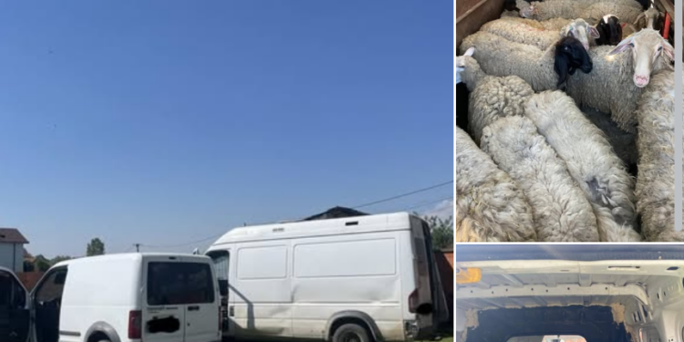 Policia kap 31 krerë dele të futura ilegalisht nga Serbia