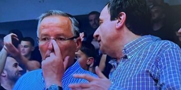 2 mln euro për fluturimet e mërgimtarëve, Hamza: Paraja publike po përdoret për blerje të votës