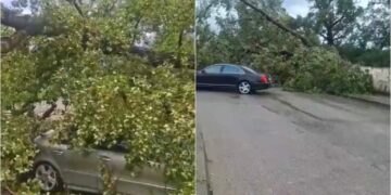 Moti i keq përfshin Durrësin, probleme në qarkullim dhe pemë të rrëzuara