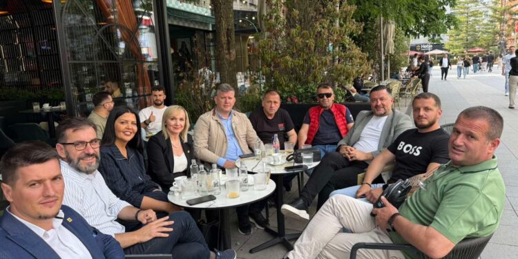 Rrezarta Krasniqi e LDK-së në mbështetje të kandidatëve për deputetë të kësaj partie nga Mitrovica