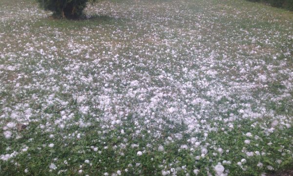 Bie breshër në disa pjesë të Kosovës, publikohen pamje