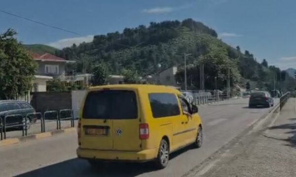 I shpëtoi nënës nga dora: Detaje nga aksidenti tragjik ku humbi jetën 7-vjeçari