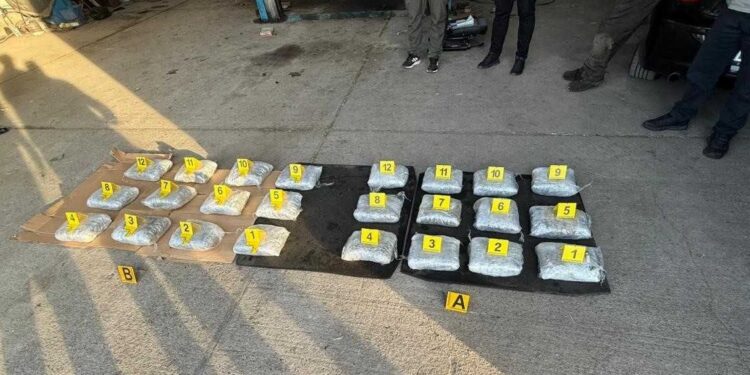 Operacioni “Kontrolli”: Antidroga arreston tre të dyshuar dhe konfiskon mbi 25 kg marihuanë