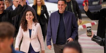 Numërohen afër 30% nga votat e diasporës, kjo është 5-shja më e votuar e LDK-së