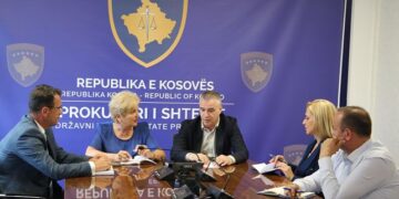 Fotografuan dhe incizuan votën disa persona nga diaspora, nis hetimi i rasteve