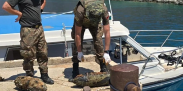 Nxirren nga deti dy predha të Luftës së Dytë Botërore në Shqipëri