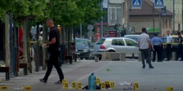 Plagosja e katërfishtë: Nipat donin vrasjen e dajës, shkak hakmarrja? (VIDEO)