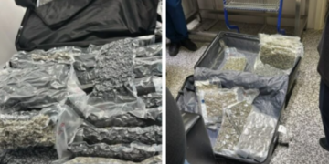 Kapen në valixhe 46 kilogramë drogë në aeroportin “Nënë Tereza”, aeroplani po vinte nga Toronto në Rinas