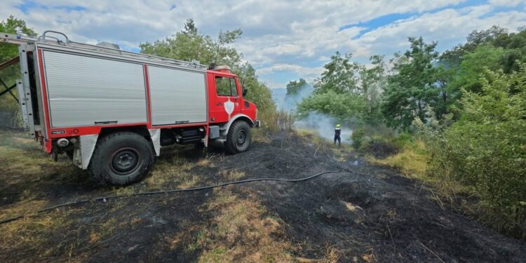 Zjarr në Ballancë të Vitisë, flakët u afrohen shtëpive, zjarrfikësit në vendngjarje!