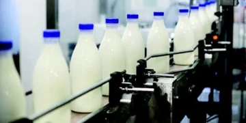 Shoqata e Qumështoreve: 5-6 tonë qumësht nga Podujeva e Vushtrria mbesin pa u grumbulluar
