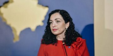 Deputeti i VV-së thotë se Vjosa Osmani nuk i plotëson kriteret për një presidente konsensuale