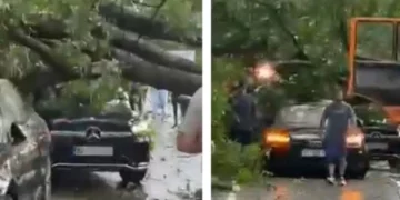 Lisi rrëzohet mbi dy vetura në Brezovicë, shkaktohen dëme materiale