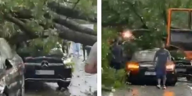 Lisi rrëzohet mbi dy vetura në Brezovicë, shkaktohen dëme materiale