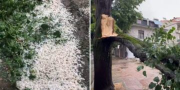 Stuhi e fortë në Korçë, breshëri dëmton të mbjellat në Devoll, era rrëzon pemët në shesh