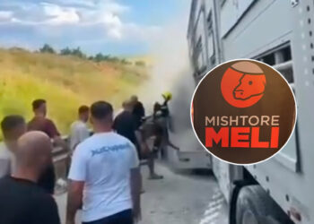 Kamioni i djegur që bllokoj autostradën i përkiste kompanisë “Meli”, ishte i dedikuar për transport të kafshëve (Video)